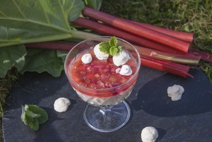 panna cotta rhubarbe